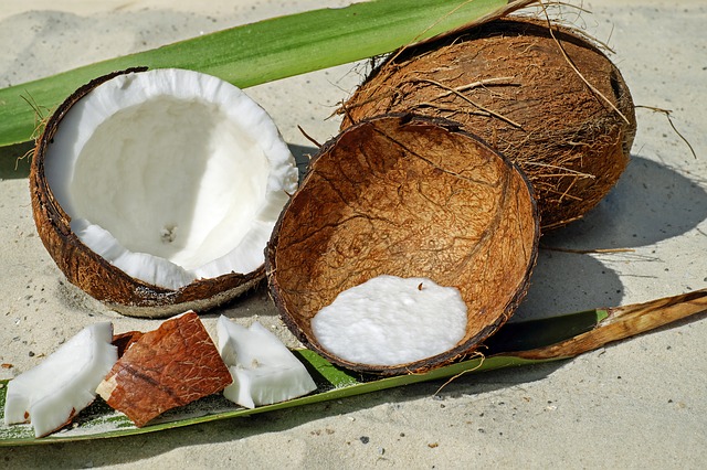 Cocos nucifera